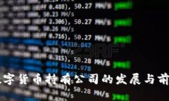 美国数字货币持有公司的