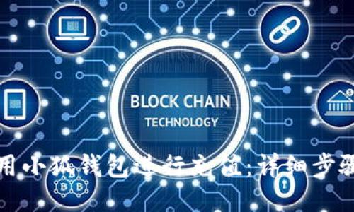 如何使用小狐钱包进行充值：详细步骤与指南