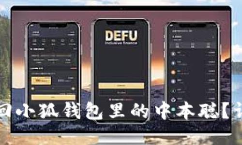 如何找回小狐钱包里的中本聪？详细指南