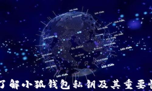 
了解小狐钱包私钥及其重要性