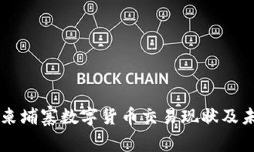 美国与柬埔寨数字货币交易现状及未来展望